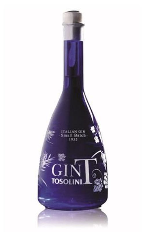 Gin T Tosolini 0,7l 43%