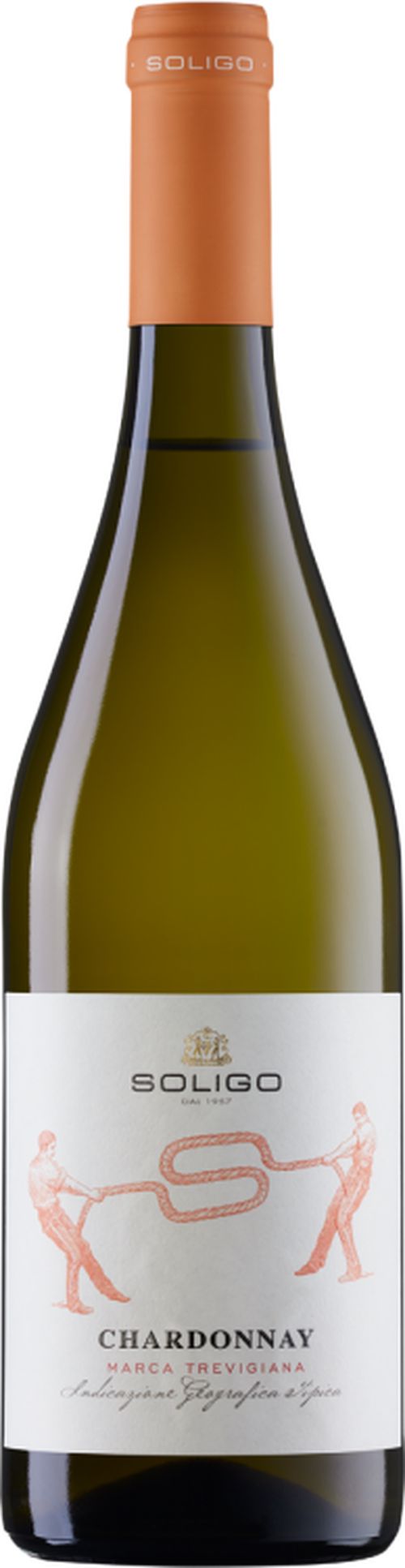 Soligo Chardonnay IGT Marca Trevigiana 0,75l 12%